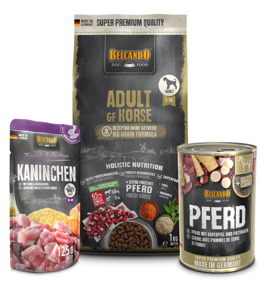 DOG BOX BELCANDO ADULT GF HORSE