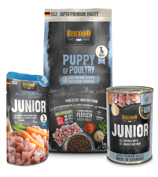 DOG BOX BELCANDO PUPPY GF POULTRY