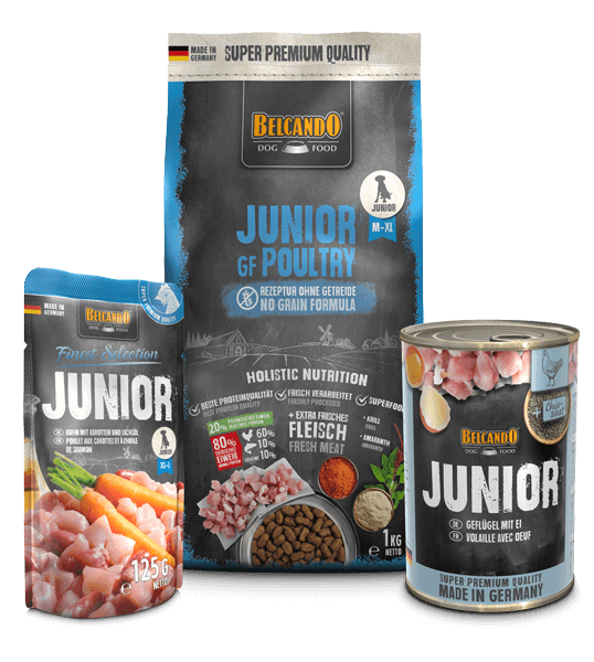 DOG BOX BELCANDO JUNIOR GF POULTRY