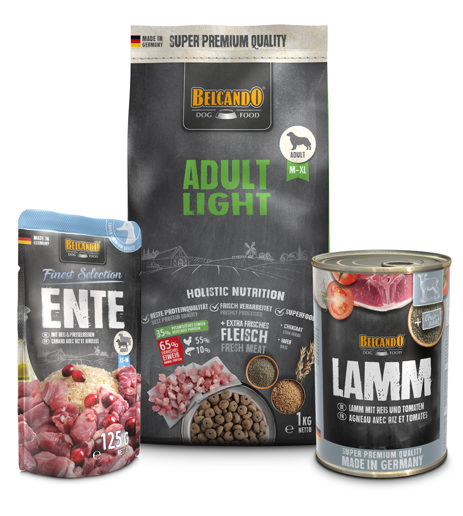 DOG BOX BELCANDO ADULT LIGHT