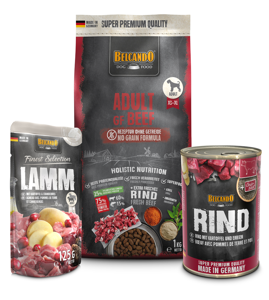 DOG BOX BELCANDO ADULT GF BEEF