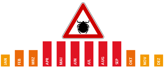 Diagramm: Wann ist Zeckenzeit?
