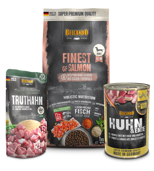 DOG BOX BELCANDO FINEST GF SALMON