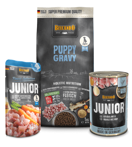 DOG BOX BELCANDO PUPPY GRAVY