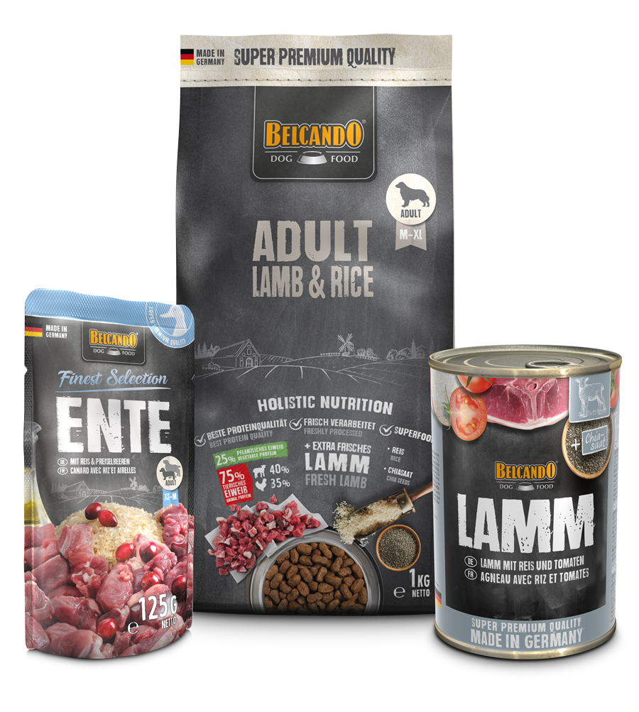 DOG BOX BELCANDO ADULT LAMB & RICE