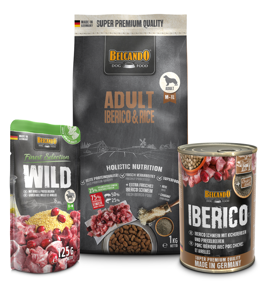DOG BOX BELCANDO ADULT IBERICO & RICE