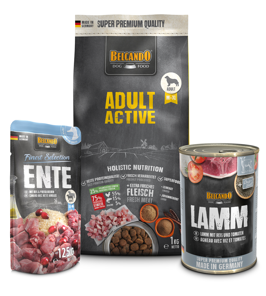 DOG BOX BELCANDO ADULT ACTIVE
