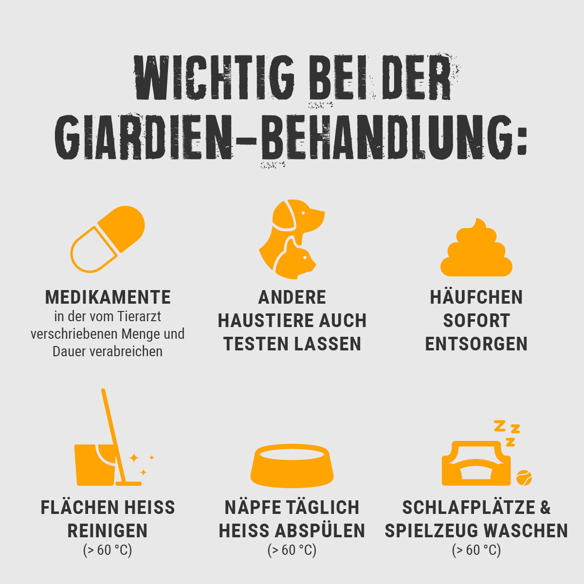 Giardien-Behandlung beim Hund -Giardien-Behandlung beim Hund