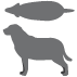 BCS_5_Hund_fettleibig