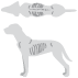 BCS_1_Hund_sehr mager