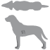 BCS_3_Hund_idealgewichtig