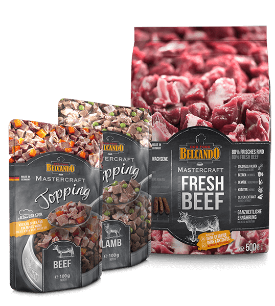 BELCANDO MASTERCRAFT DOG BOX FRESH BEEF