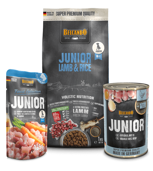 DOG BOX BELCANDO JUNIOR LAMB & RICE