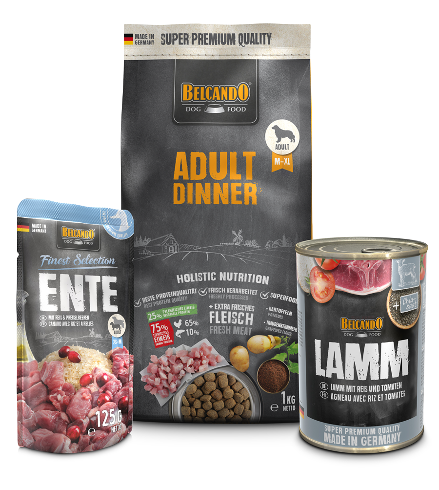DOG BOX BELCANDO ADULT DINNER