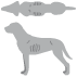 BCS_2_Hund_untergewichtig